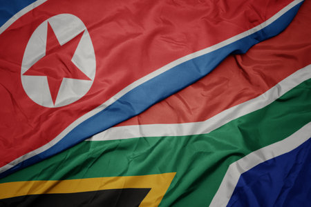 DPRK and African Flags